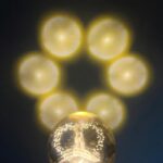 ⁦كرة كريستال روني ثلاثية الأبعاد مضيئة LED | مصباح ديكور لغرفة النوم والمكتب⁩ - الصورة ⁦11⁩