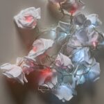 فرع ورد أبيض باضاءة 20 لمبة ليد أحمر