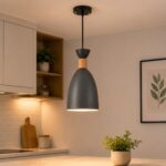 Modern Gray 1-Light Ceiling Pendant | Decorative Lighting